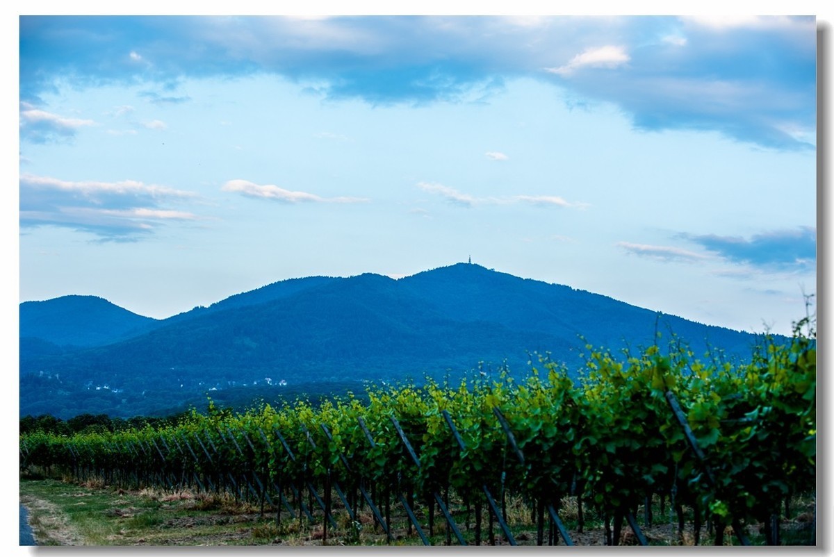 青山依旧，夕阳几度