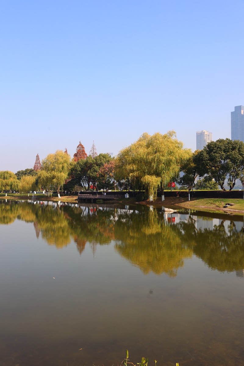 橘州公園美景