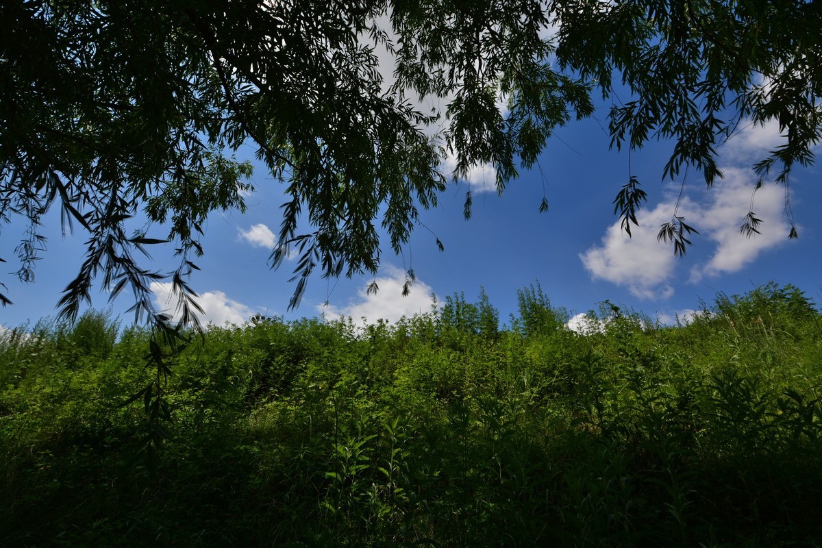 曝光锁定与多重曝光拍摄练习