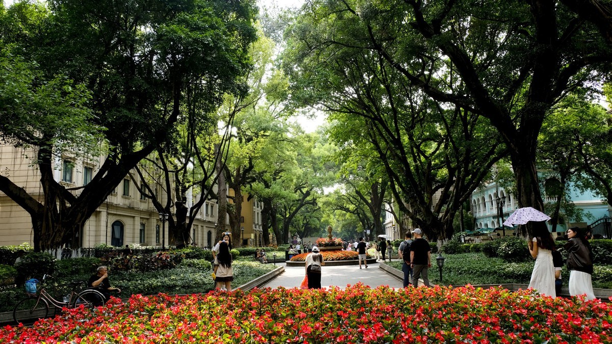 沙面风情（三）