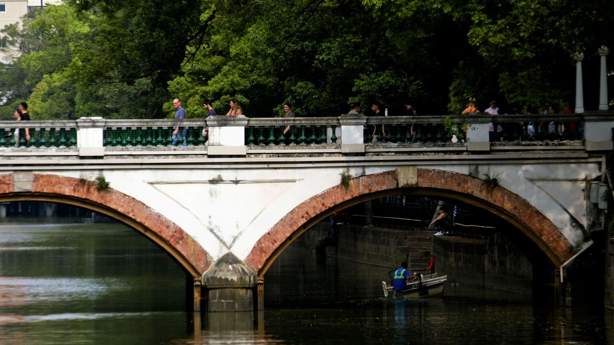 沙面风情（三）