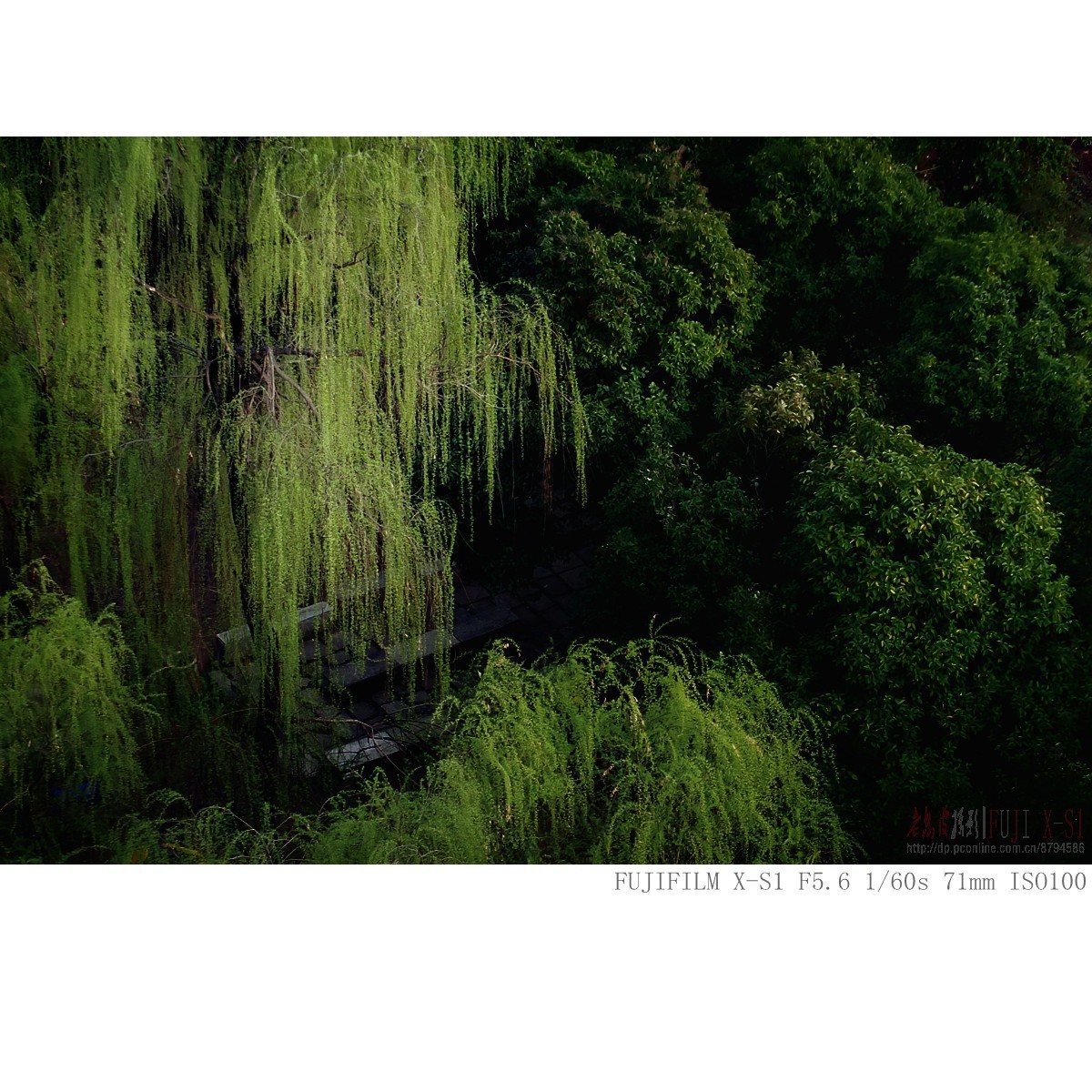 可望不可即的春天