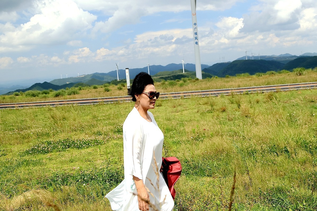 老婆 婆游龙里油画草原