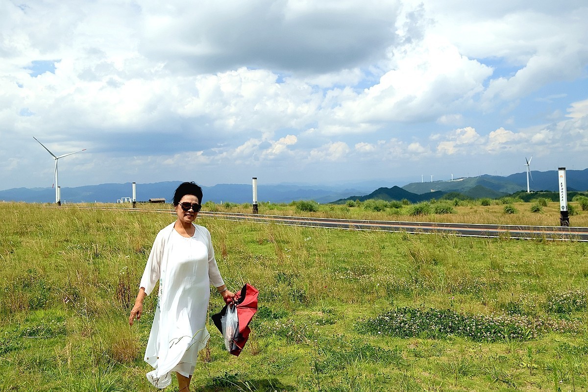 老婆 婆游龙里油画草原