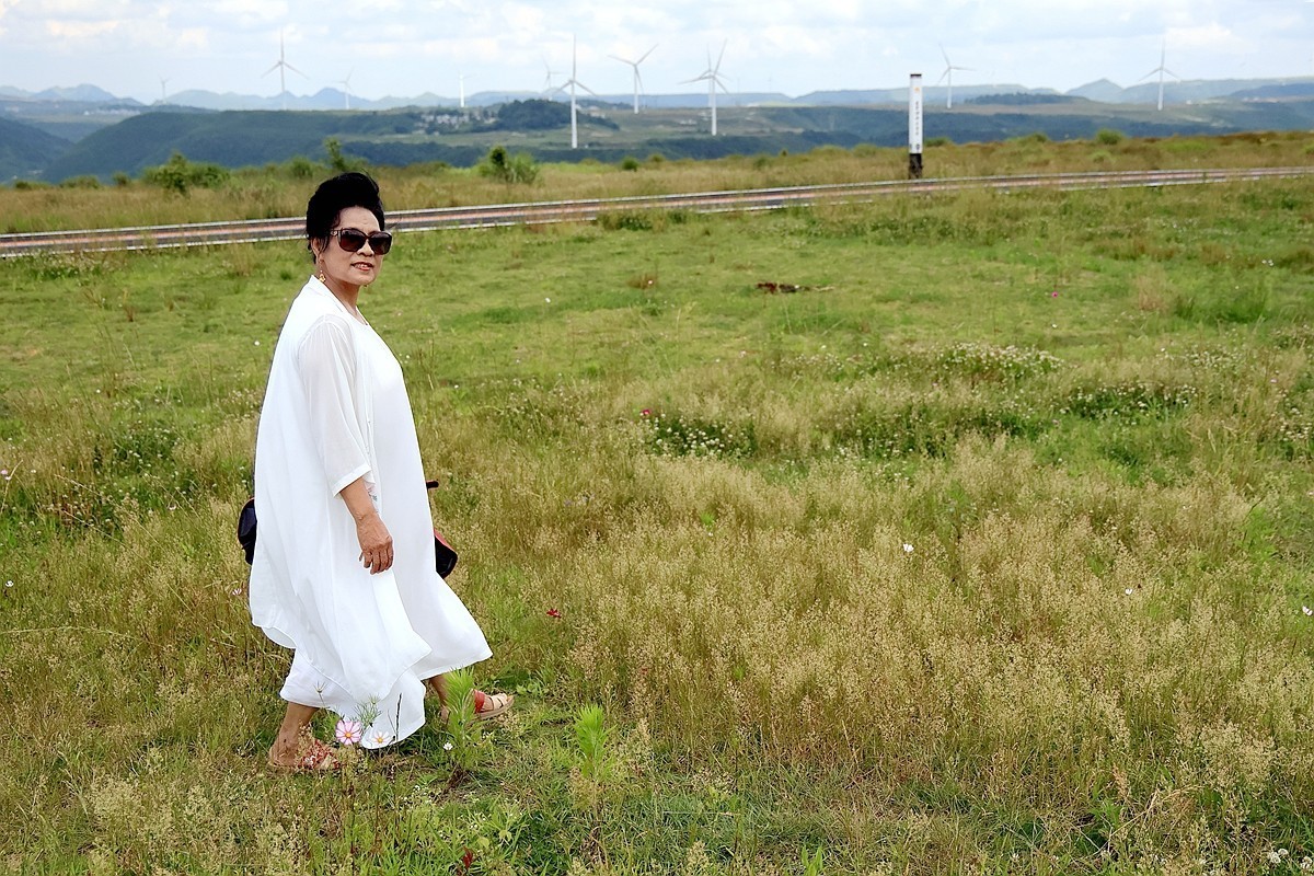 老婆 婆游龙里油画草原