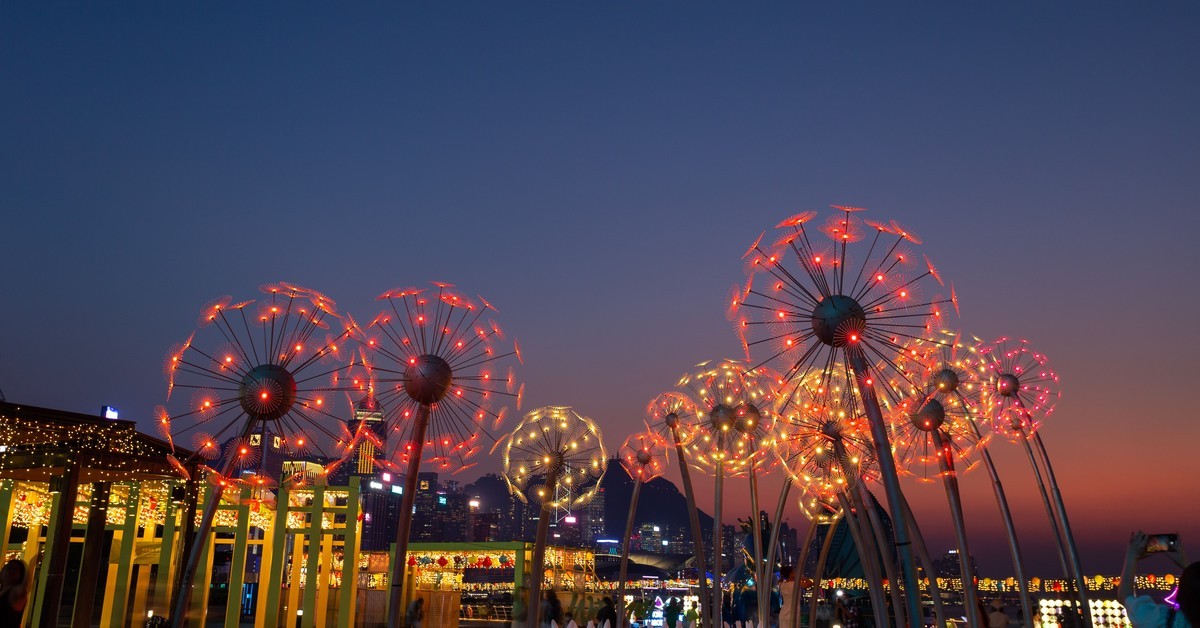 东岸公园观日赏花灯