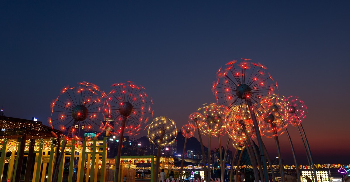 东岸公园观日赏花灯