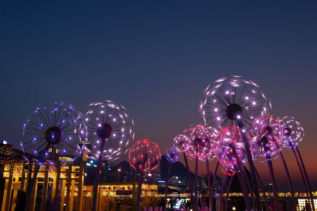 东岸公园观日赏花灯