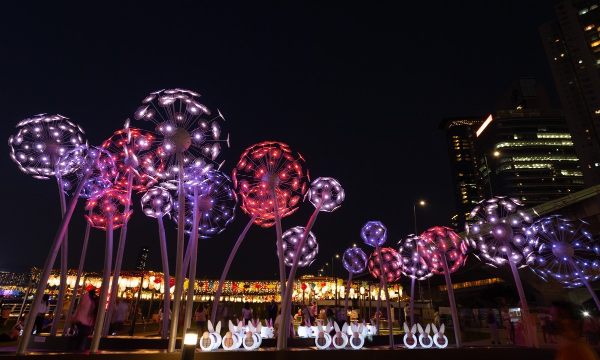 东岸公园观日赏花灯