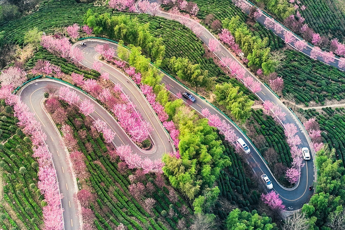 #花开春光寻美景#--换个视角看春暖花开