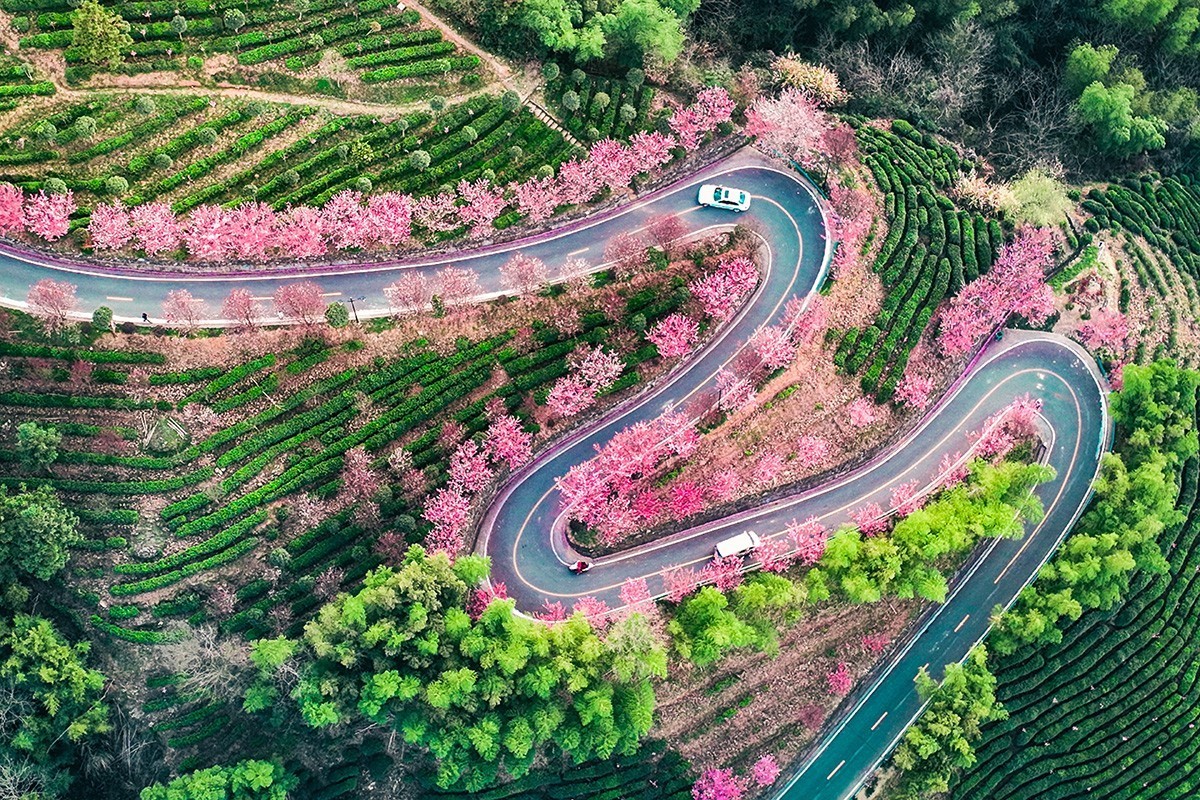 #花开春光寻美景#--换个视角看春暖花开