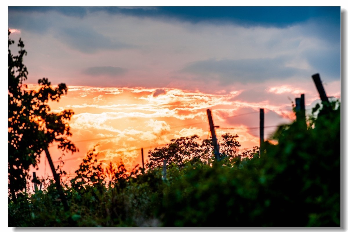 青山依旧，夕阳几度