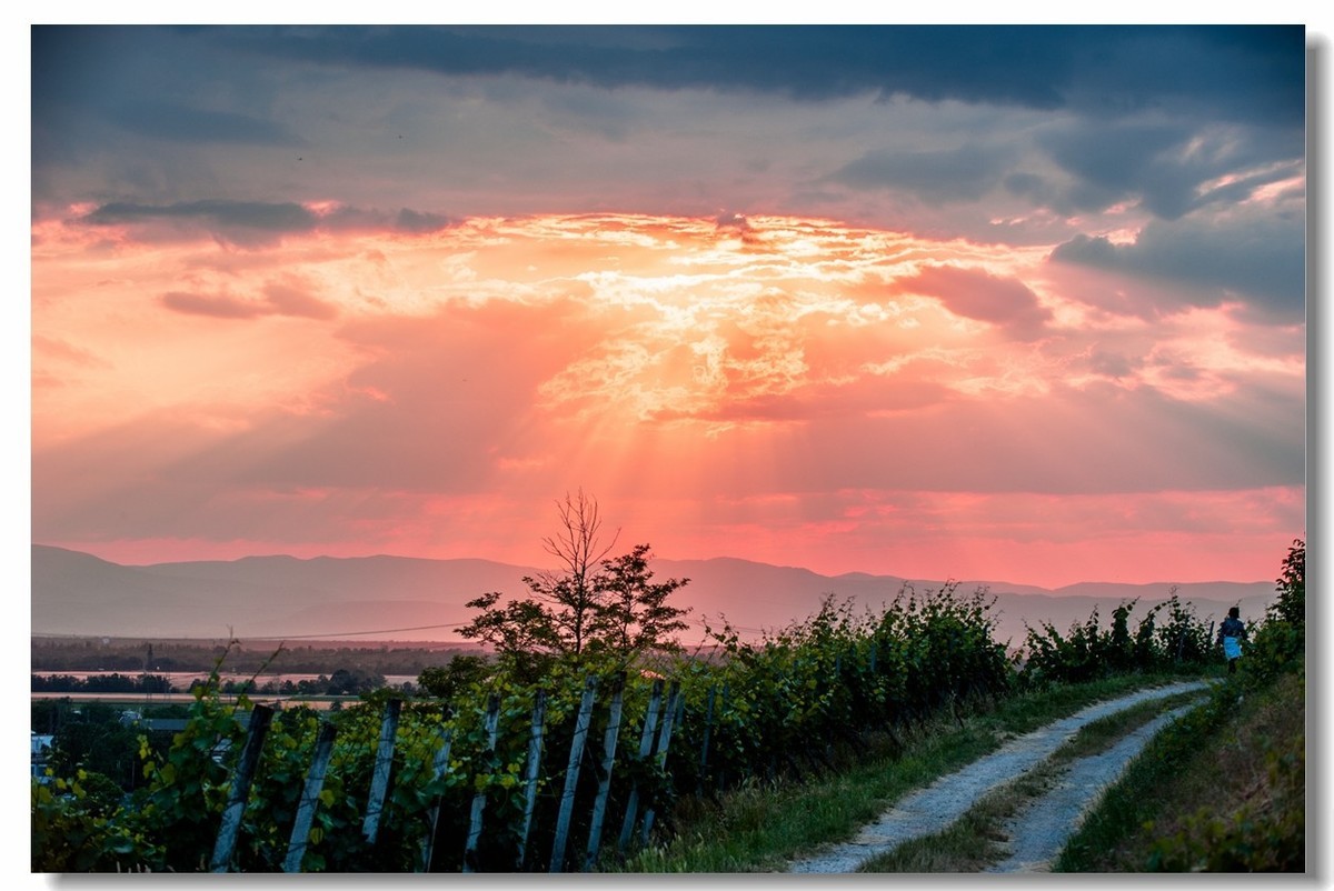 青山依旧，夕阳几度