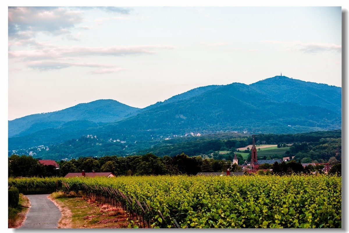 青山依旧，夕阳几度
