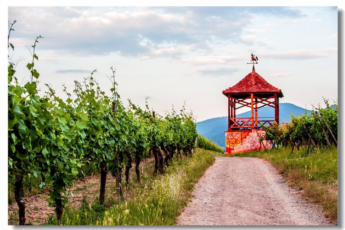 青山依旧，夕阳几度