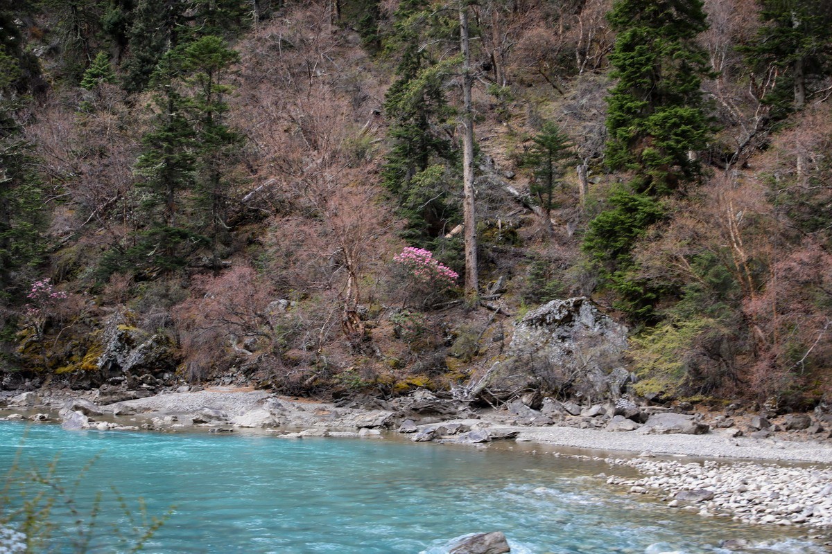 西行散记——溯源额公藏布江