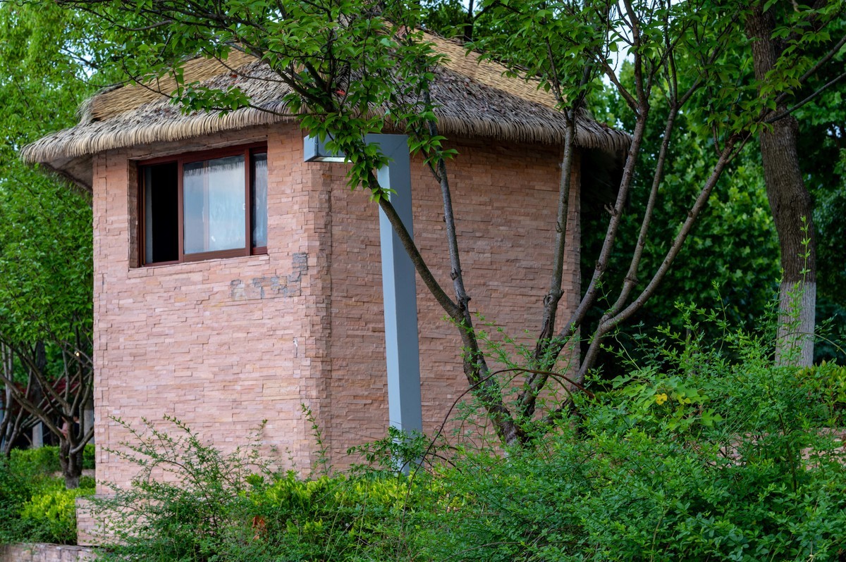 庐州印象（356）