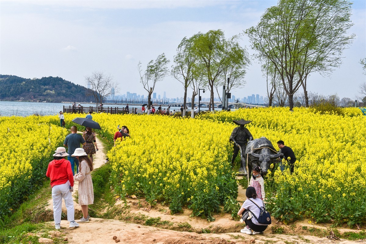市郊游览（万国公园旧址）