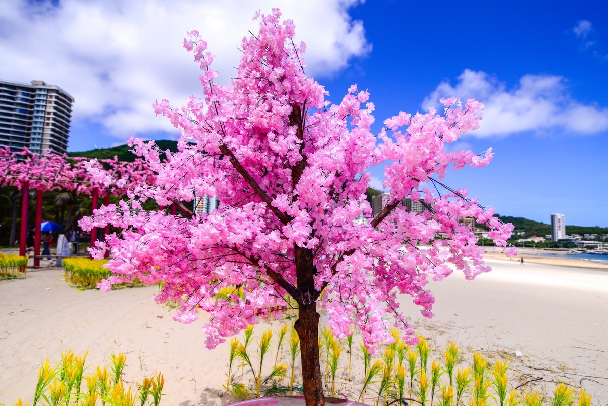 夏日海边，阳江市海陵岛海滨公园。