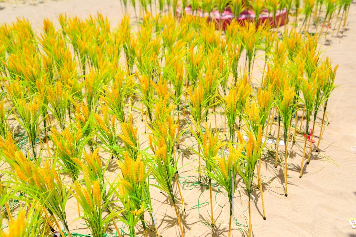 夏日海边，阳江市海陵岛海滨公园。