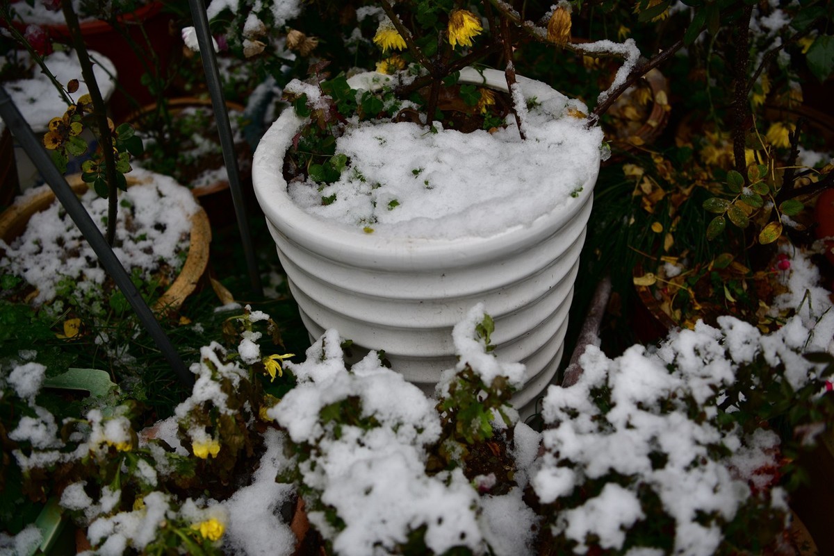 湖南严冬本市雪景掠影