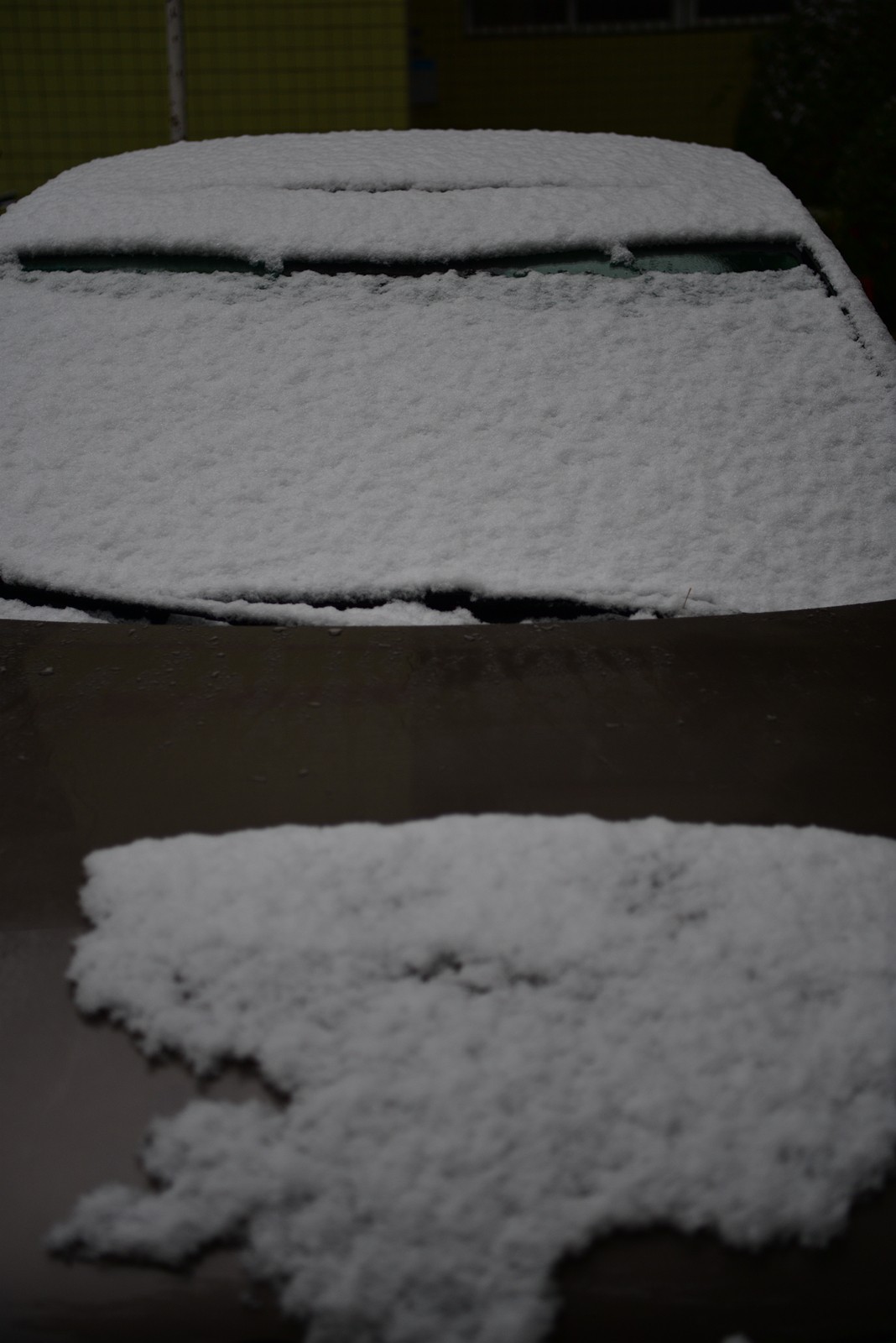 湖南严冬本市雪景掠影