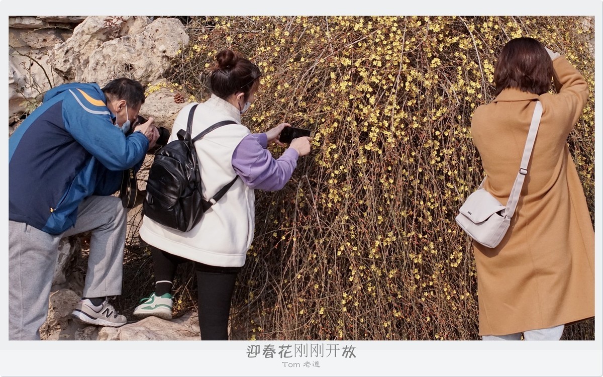 周末扫街 人山人海