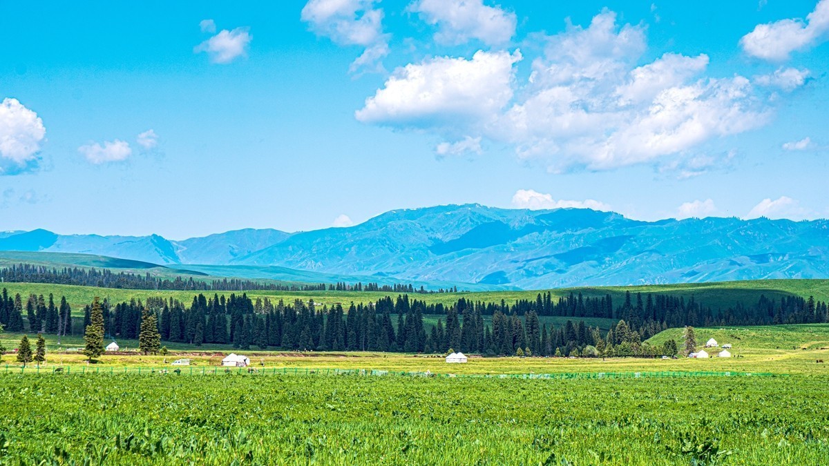 新疆行游--那拉提草原【10】