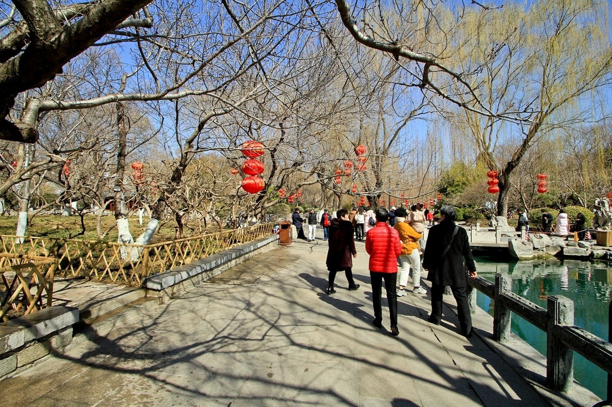 三月小阳春——五龙潭公园随拍 （三）