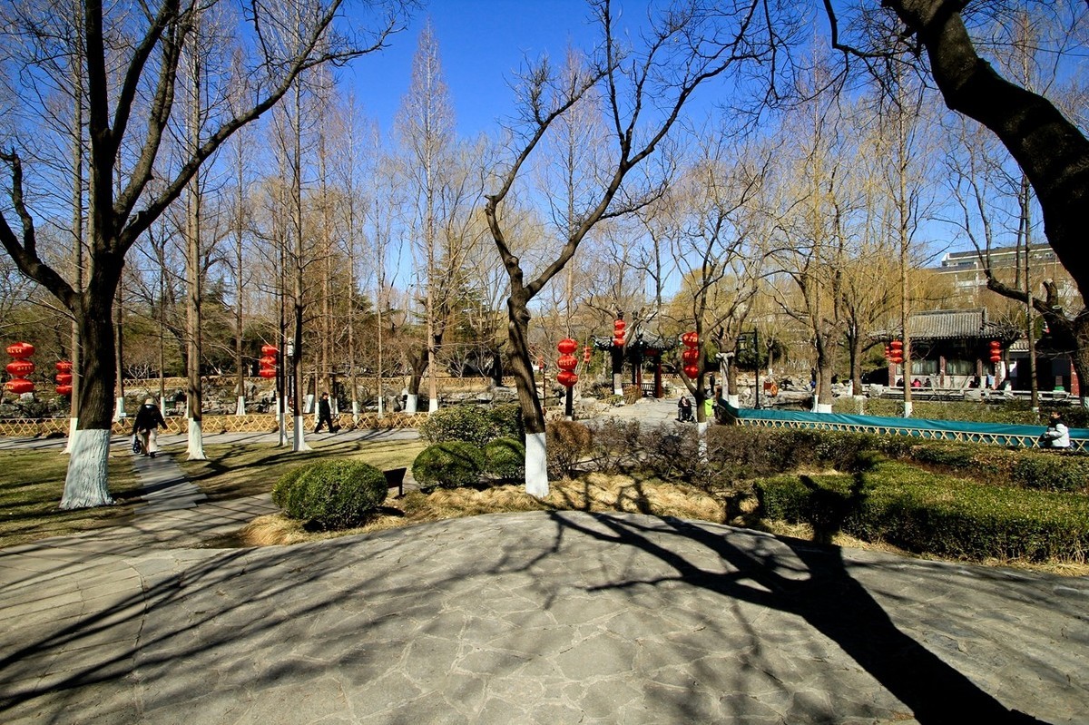 三月小阳春——五龙潭公园随拍 （三）