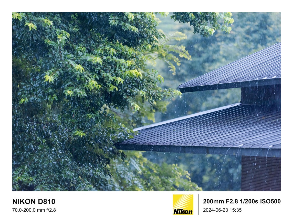 用的是尼康，就得发挥兄弟们的专业