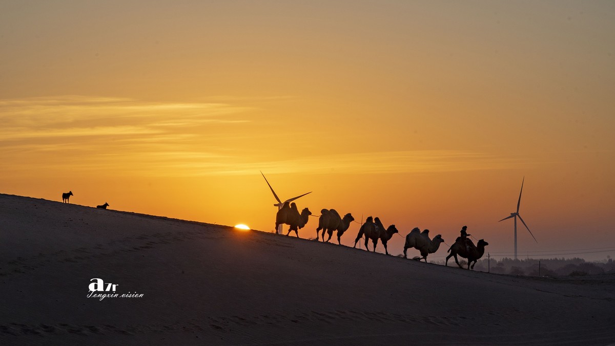 沙漠中的一支驼队（48）