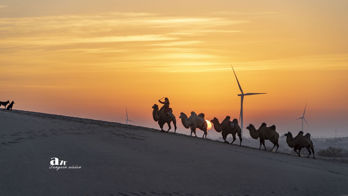 沙漠中的一支驼队（48）