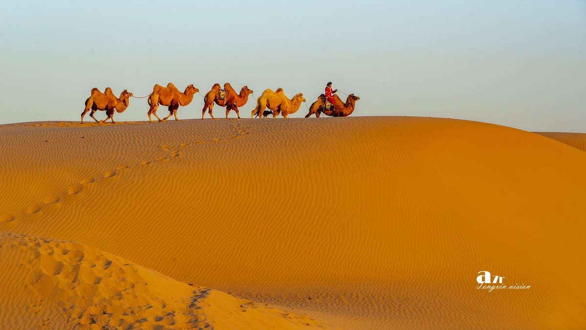 沙漠中的一支驼队（48）