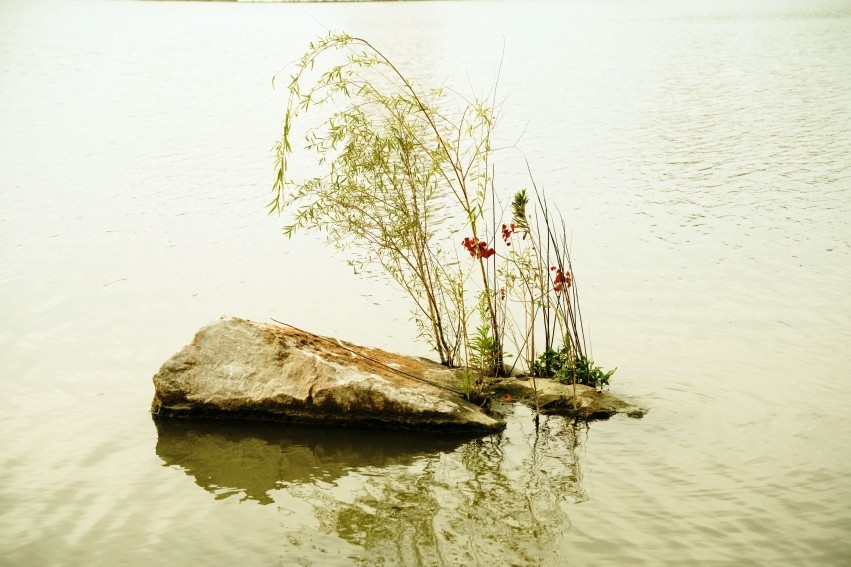 顾村公园景色秋意浓浓，
