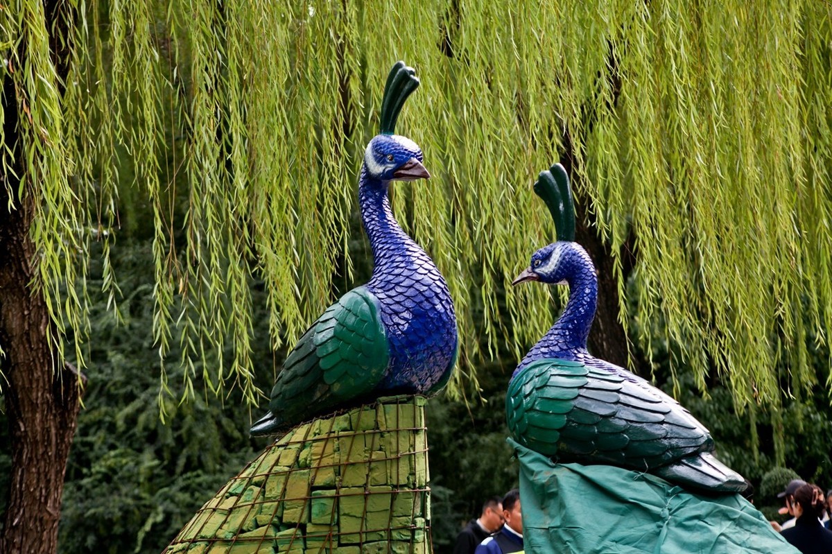 随拍——秋色趵突泉