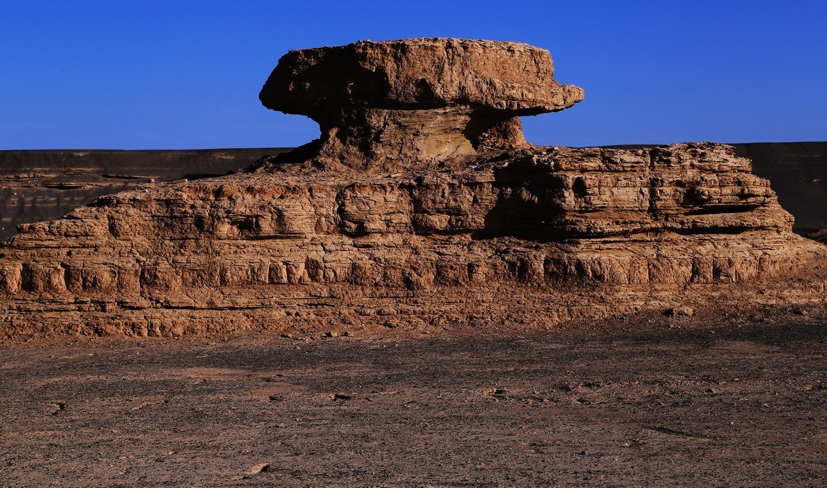 我只是把出去看到的随手记录下来（八十八）