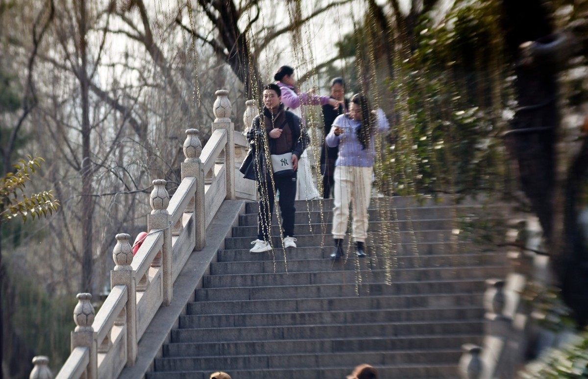 早春——明湖小景
