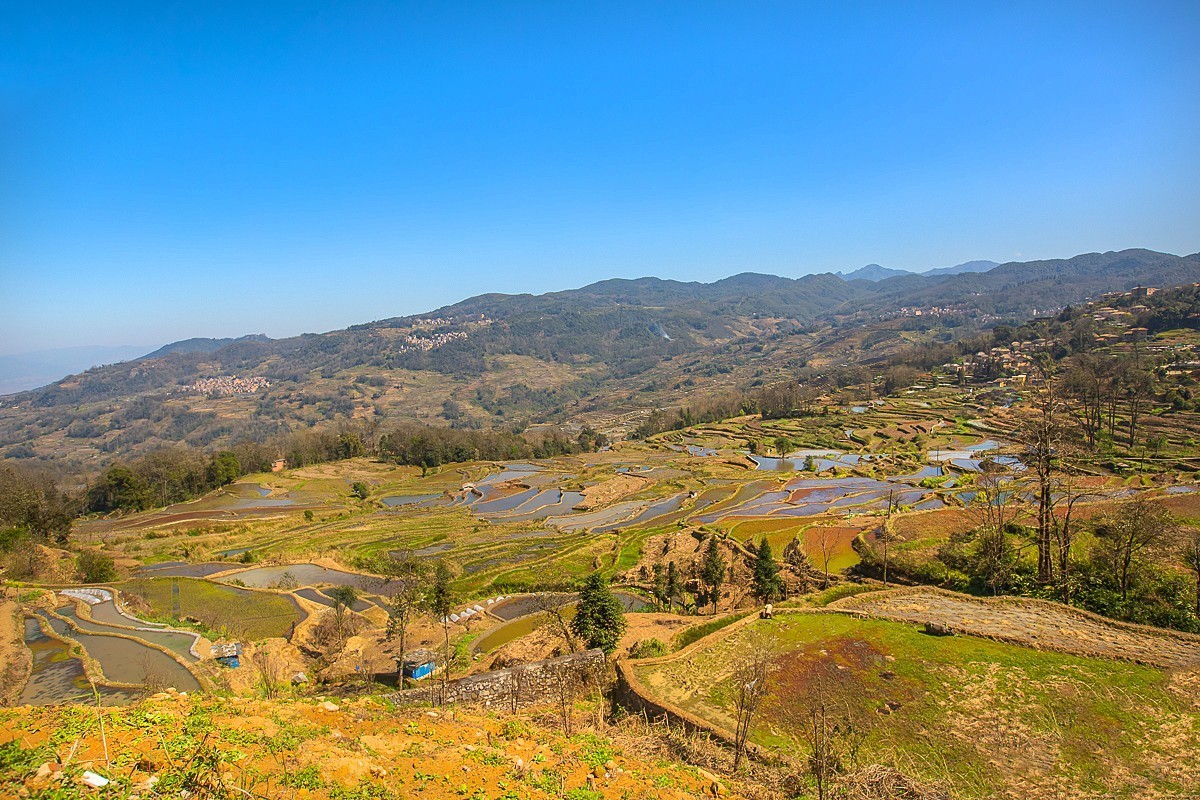 2025-04-22云南元阳箐口村梯田（一）