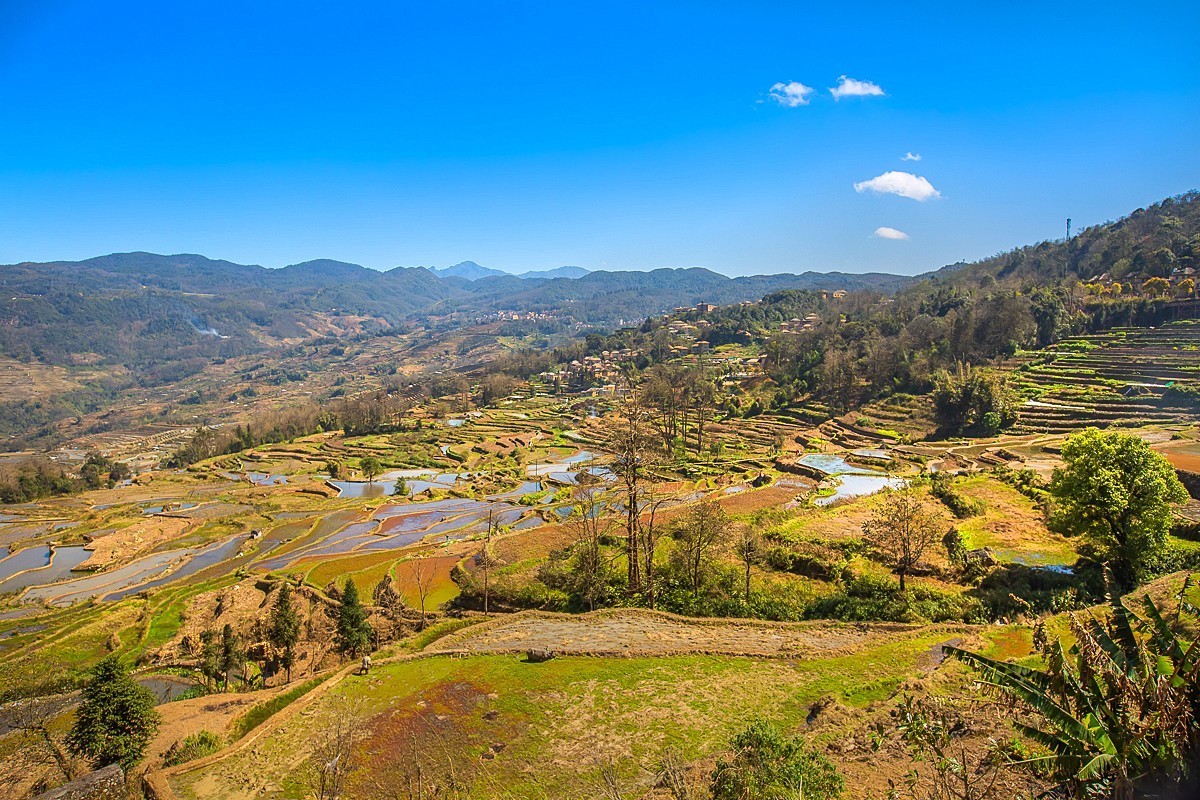 2025-04-22云南元阳箐口村梯田（一）