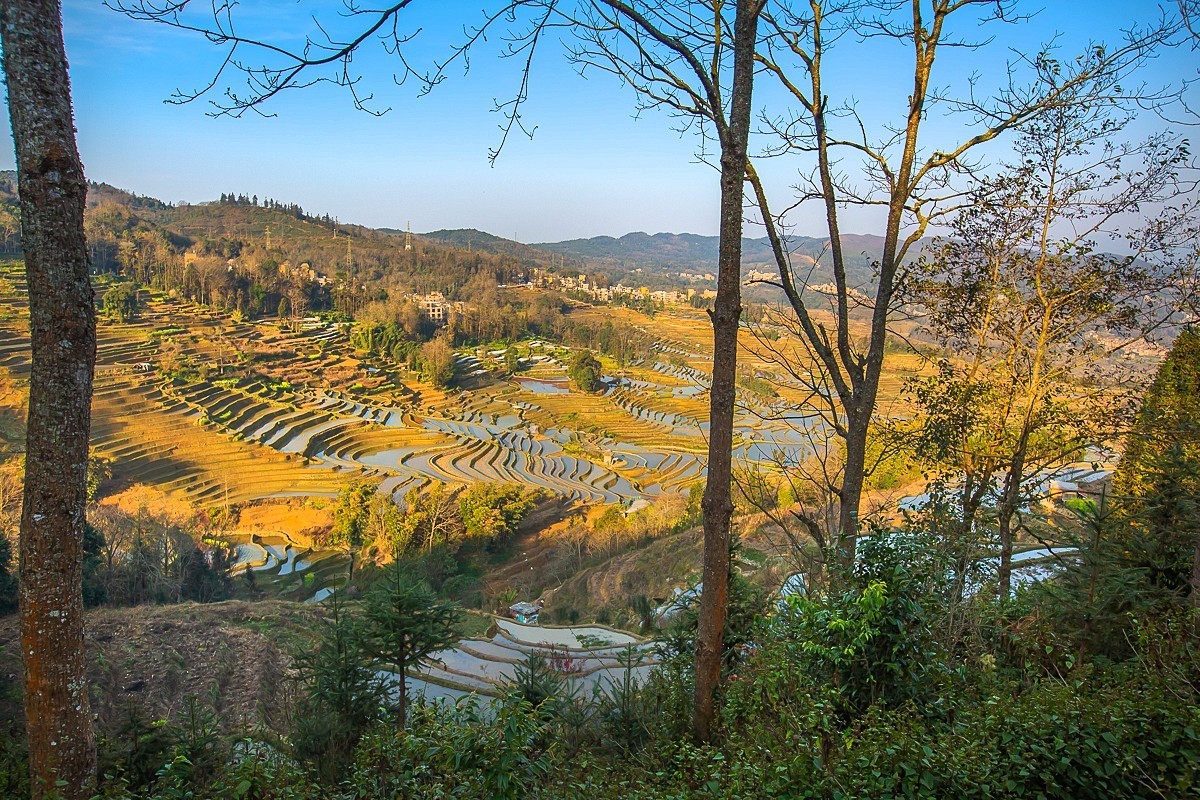 2025-04-22云南元阳箐口村梯田（一）