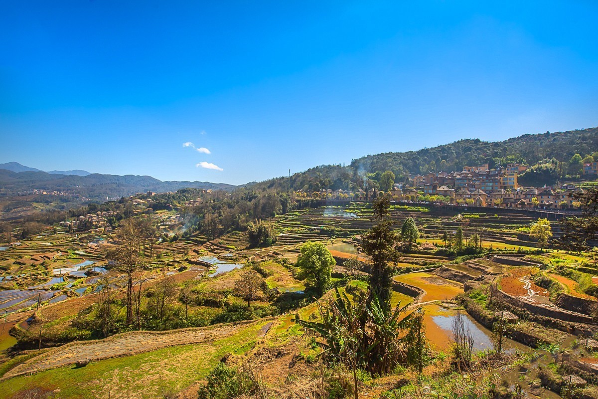 2025-04-22云南元阳箐口村梯田（一）