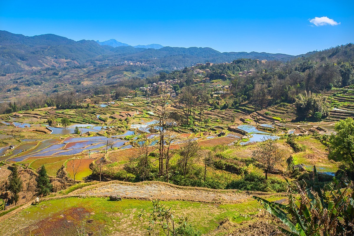 2025-04-22云南元阳箐口村梯田（一）