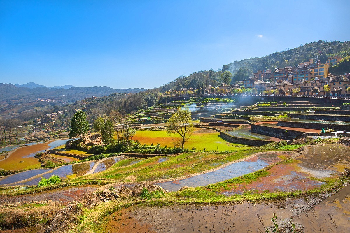 2025-04-22云南元阳箐口村梯田（一）
