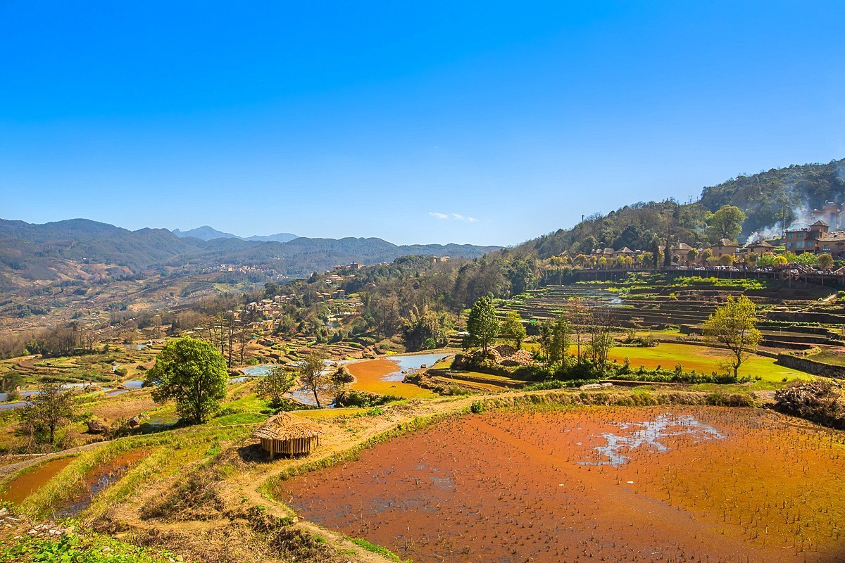 2025-04-22云南元阳箐口村梯田（一）