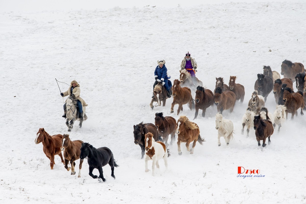 策马奔腾（67）