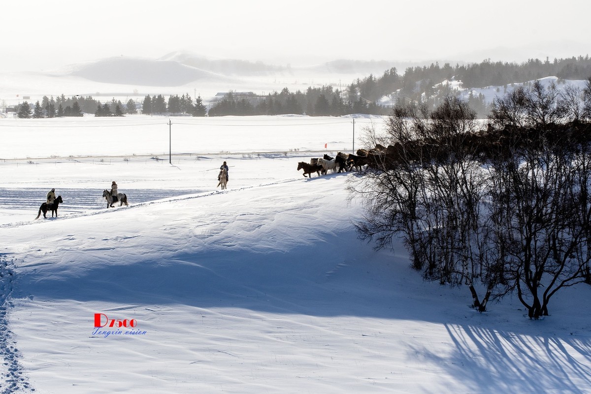 策马奔腾（67）