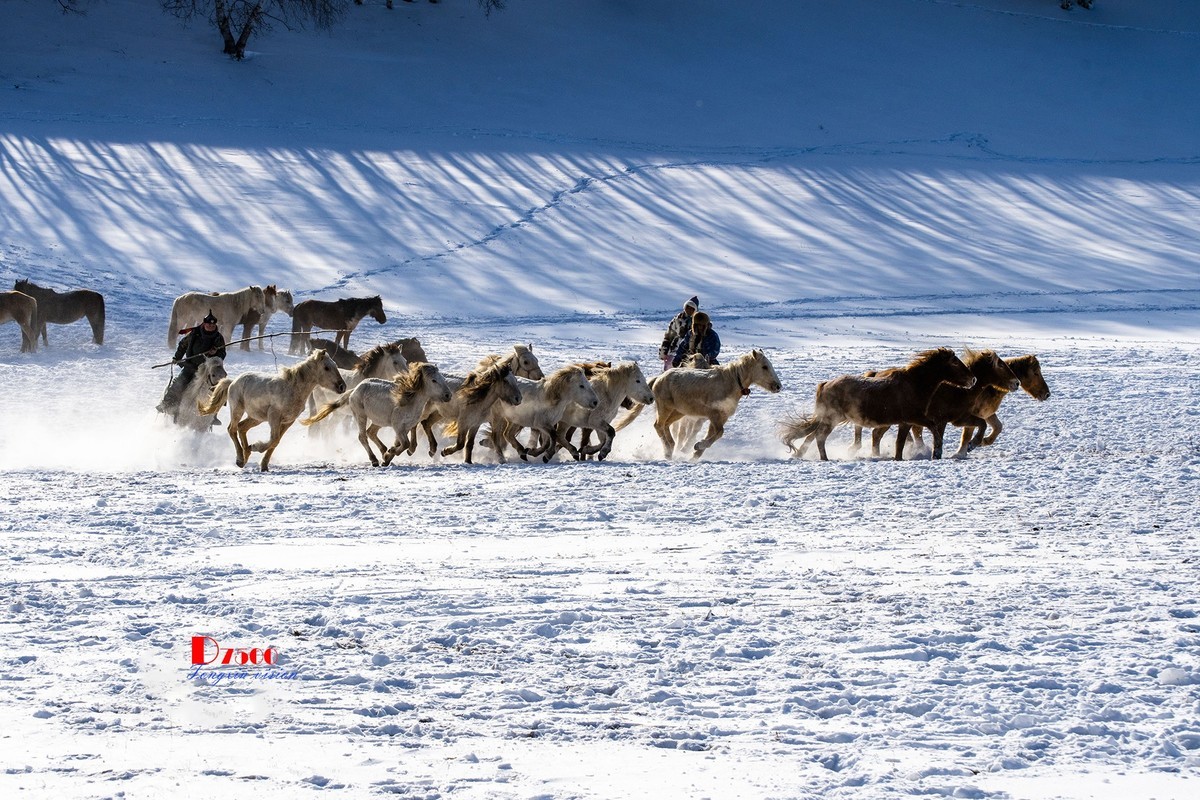 策马奔腾（67）