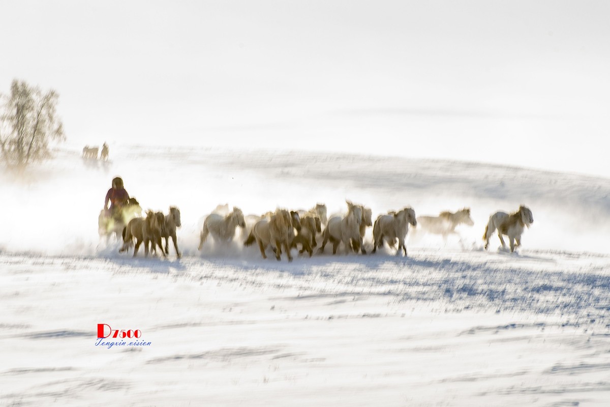 策马奔腾（67）