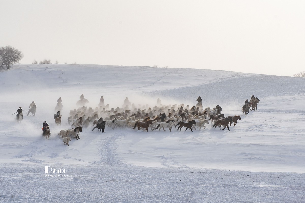 策马奔腾（67）